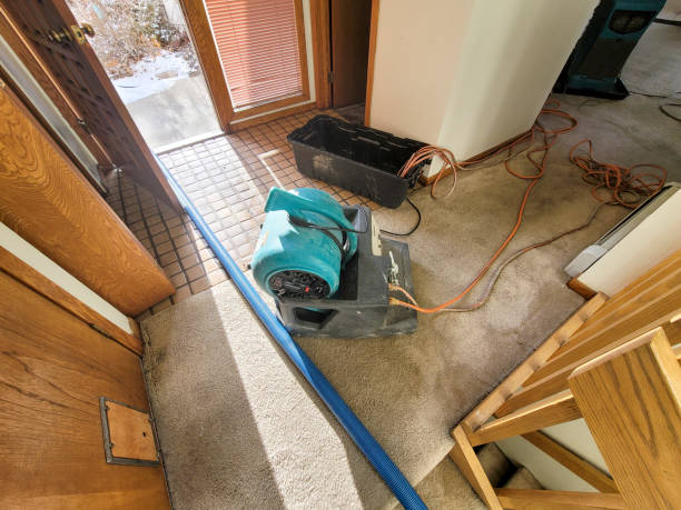 Best Water damage restoration near me  in Willow Park, TX