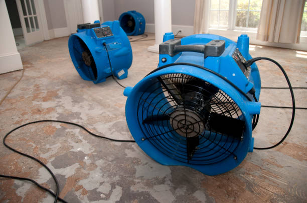Best Water damage restoration near me  in Willow Park, TX