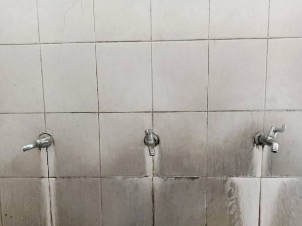 Best Ceiling water damage repair  in Willow Park, TX
