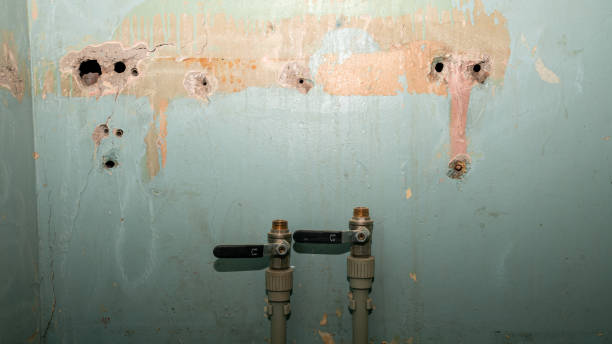 Best Fire Damage Restoration  in Willow Park, TX