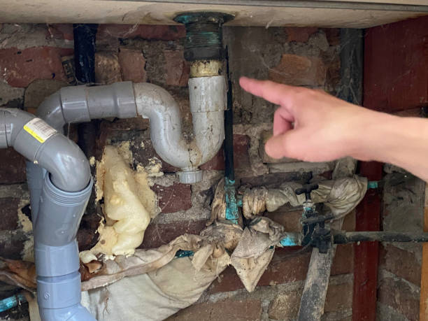 Best Water damage contractors near me  in Willow Park, TX
